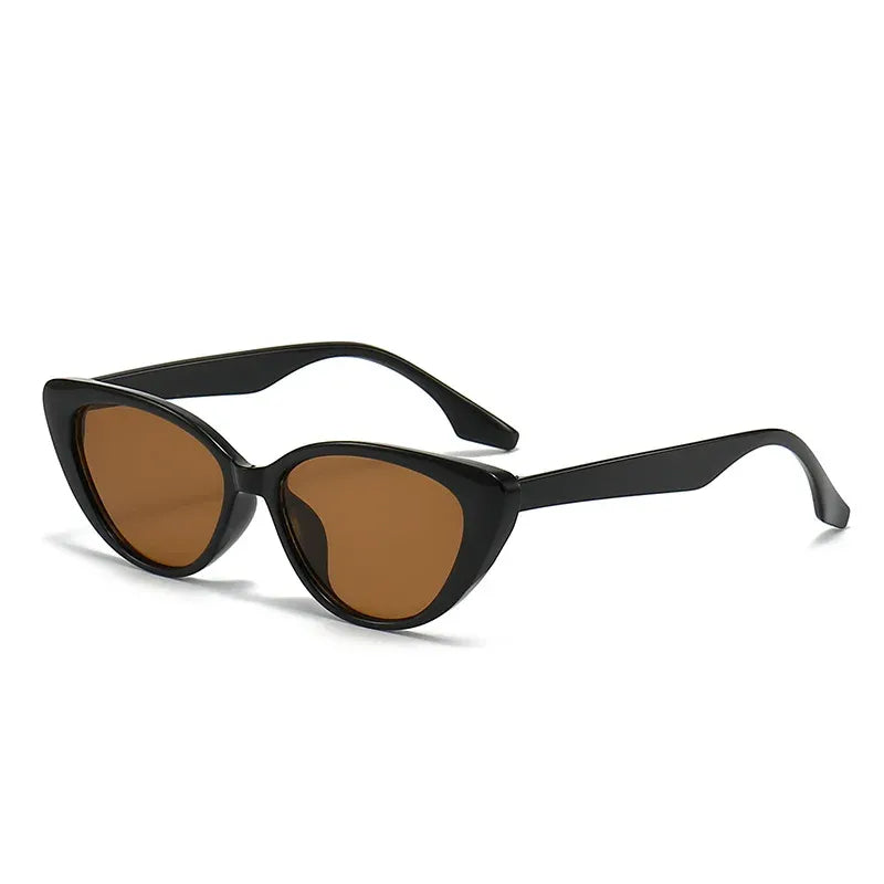 Dames Cat Eye Zonnebril – Retro Ontwerp – Veelzijdig Zomer Accessoire